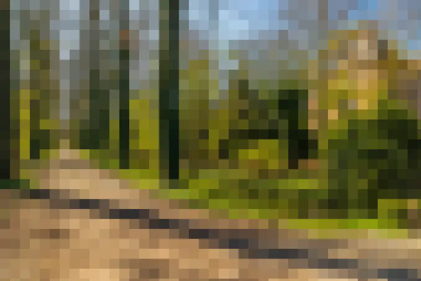 Langbroekerdijk A 121 Langbroek thumbnail 35