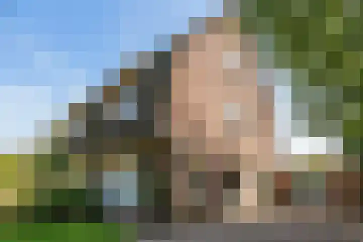 Langbroekerdijk A 93 Langbroek thumbnail 33
