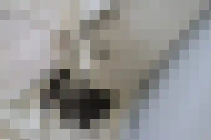 Langdeel 28 Oudega thumbnail 38