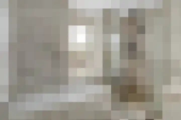 Langdonk 11 Bavel thumbnail 15