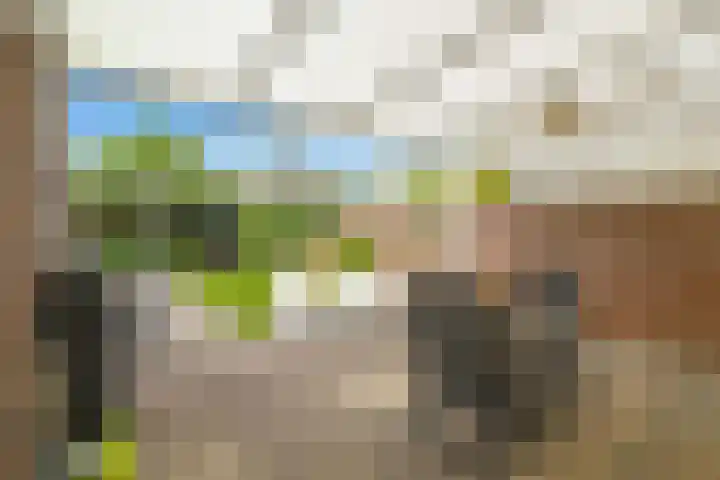 Langdonk 11 Bavel thumbnail 18