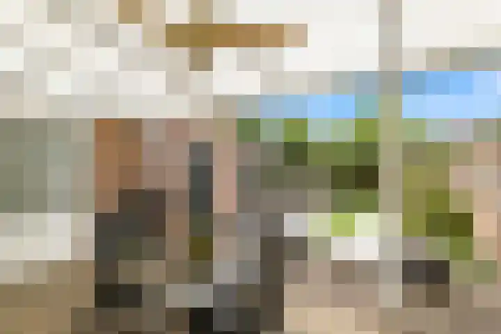 Langdonk 11 Bavel thumbnail 19