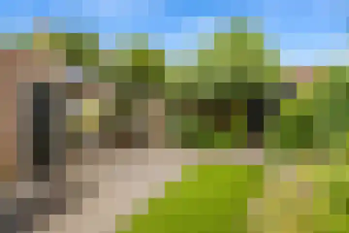 Langdonk 11 Bavel thumbnail 20