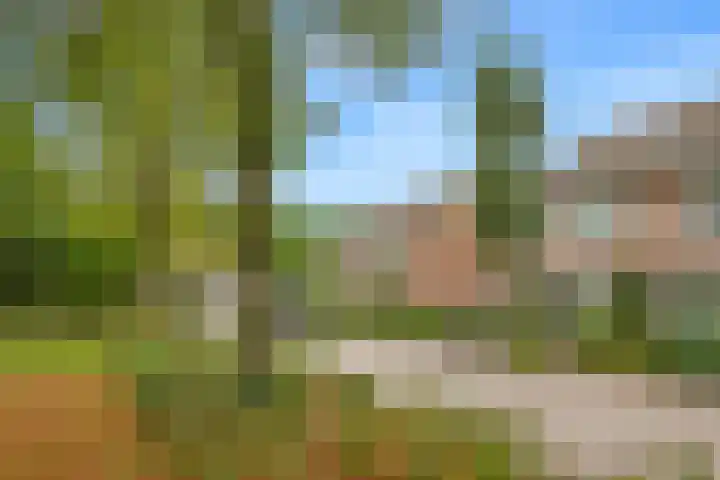 Langdonk 11 Bavel thumbnail 25