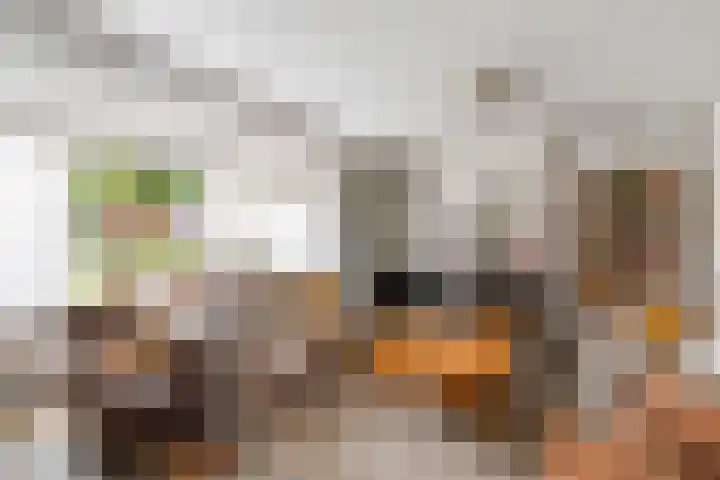Langdonk 11 Bavel thumbnail 5
