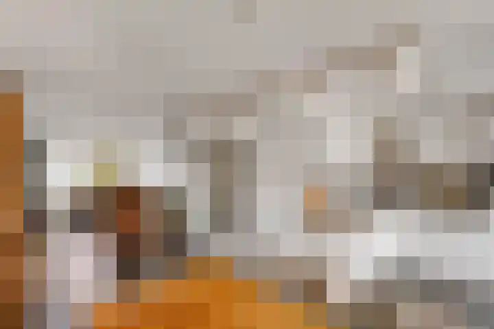 Langdonk 11 Bavel thumbnail 8
