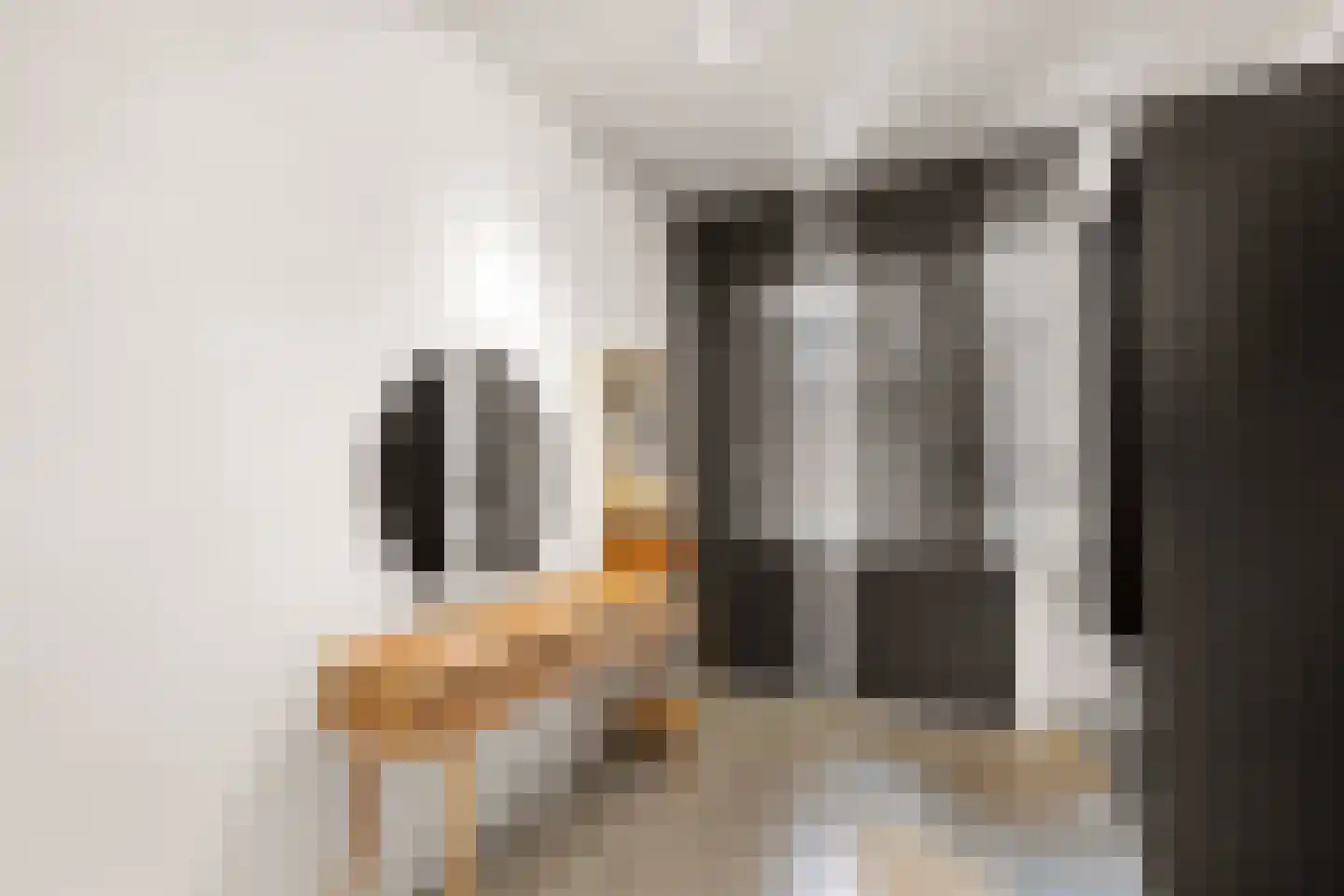 Langdonk 12 Breda thumbnail 25