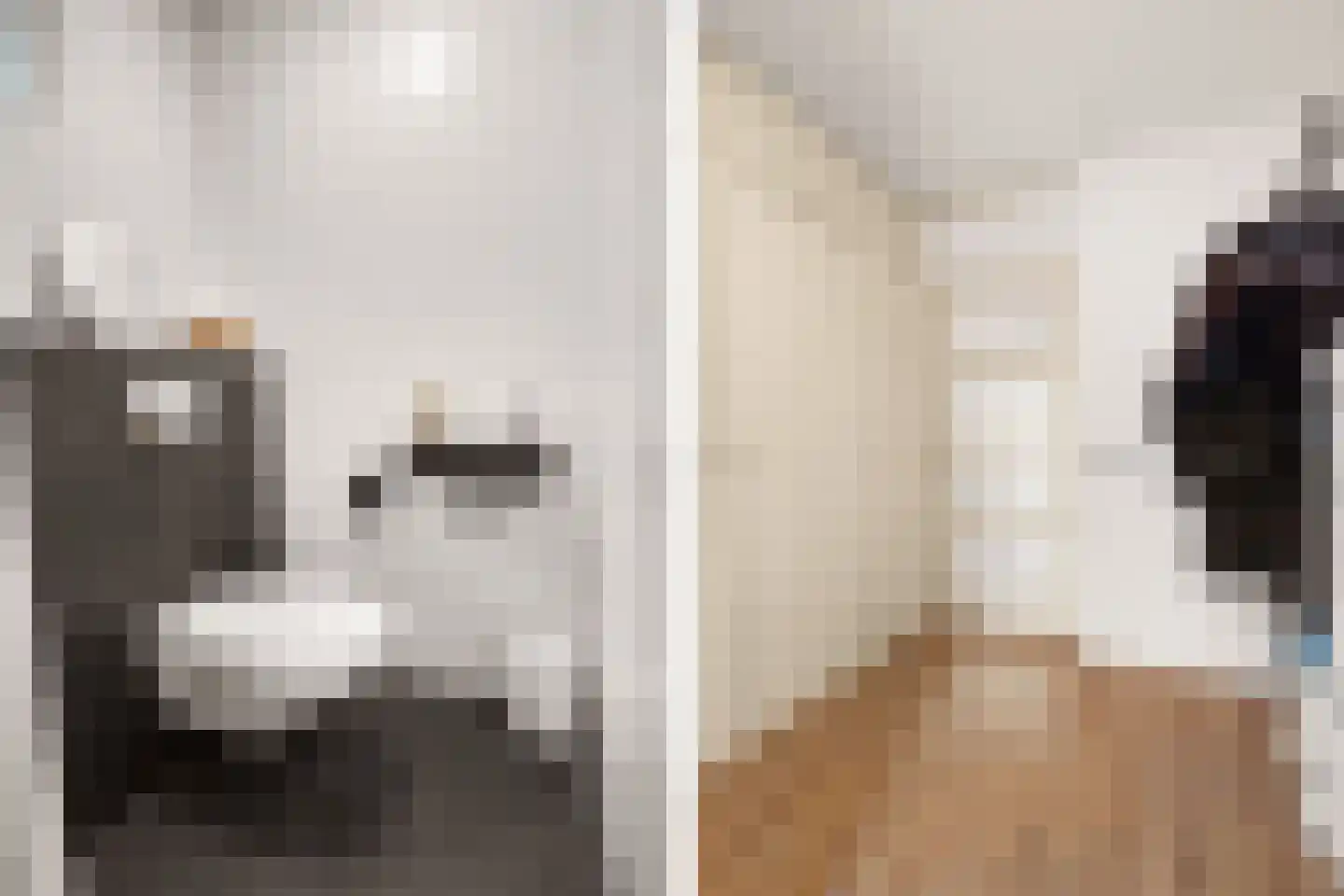 Langdonk 12 Breda thumbnail 6