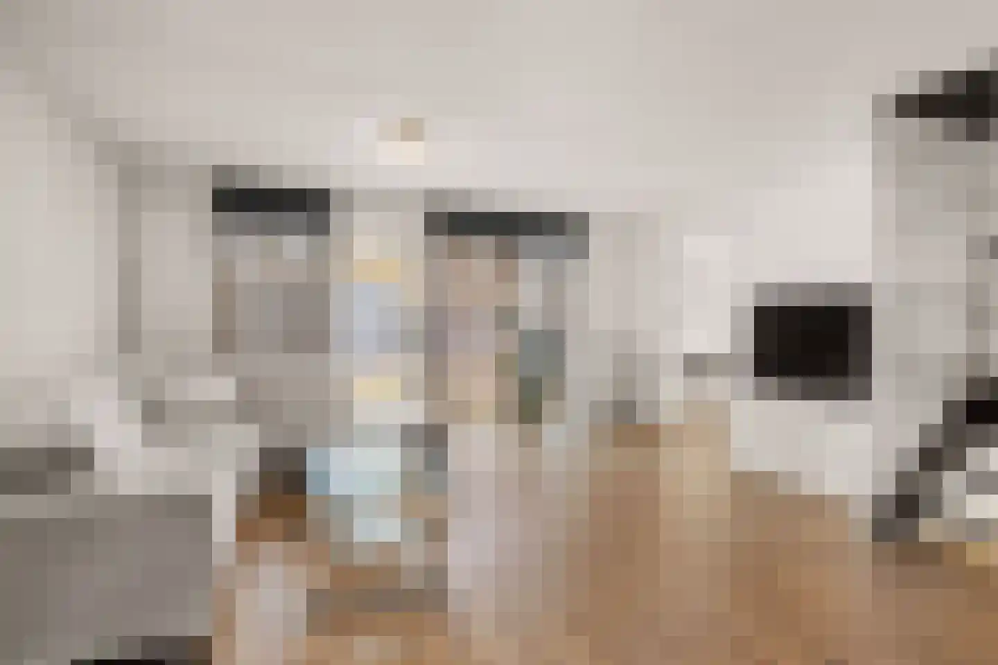 Langdonk 12 Breda thumbnail 8