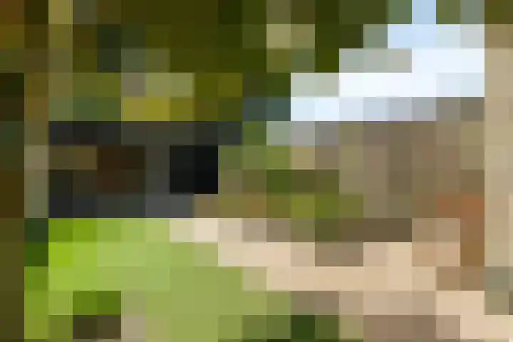 Langdonk 35 Breda thumbnail 25