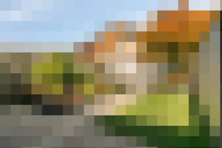 Langdonk 35 Breda thumbnail 26