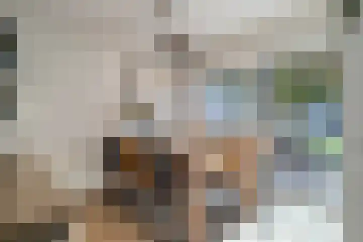 Langdonk 35 Breda thumbnail 8