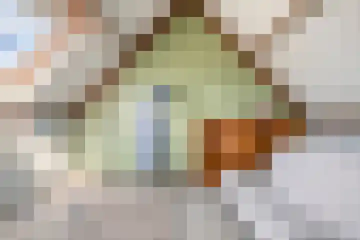 Langdonk 4 Bavel thumbnail 25