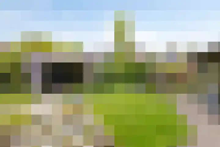 Langdonk 4 Bavel thumbnail 43