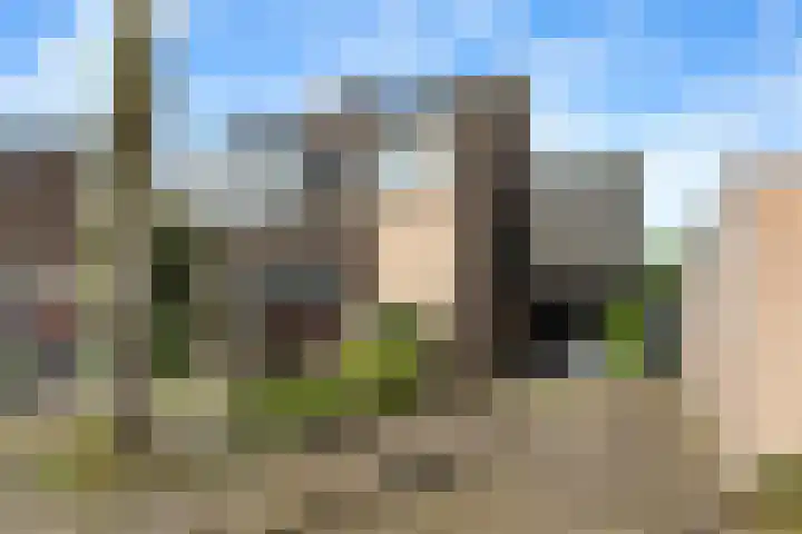 Langdonk 5 Bavel
