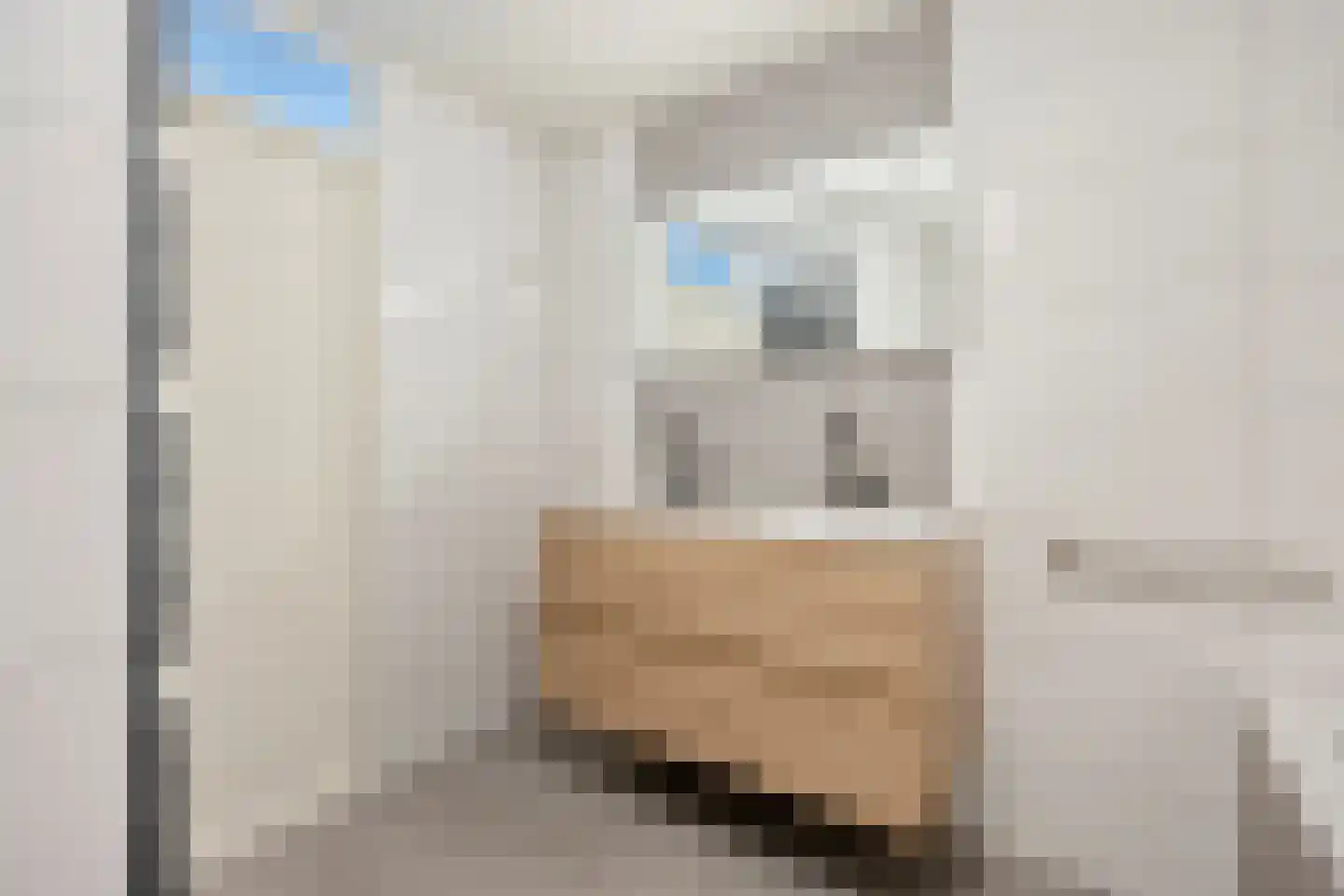 Langdonk 75 Breda thumbnail 16