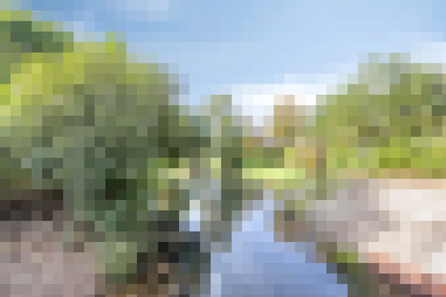 Langdonk 75 Breda thumbnail 29