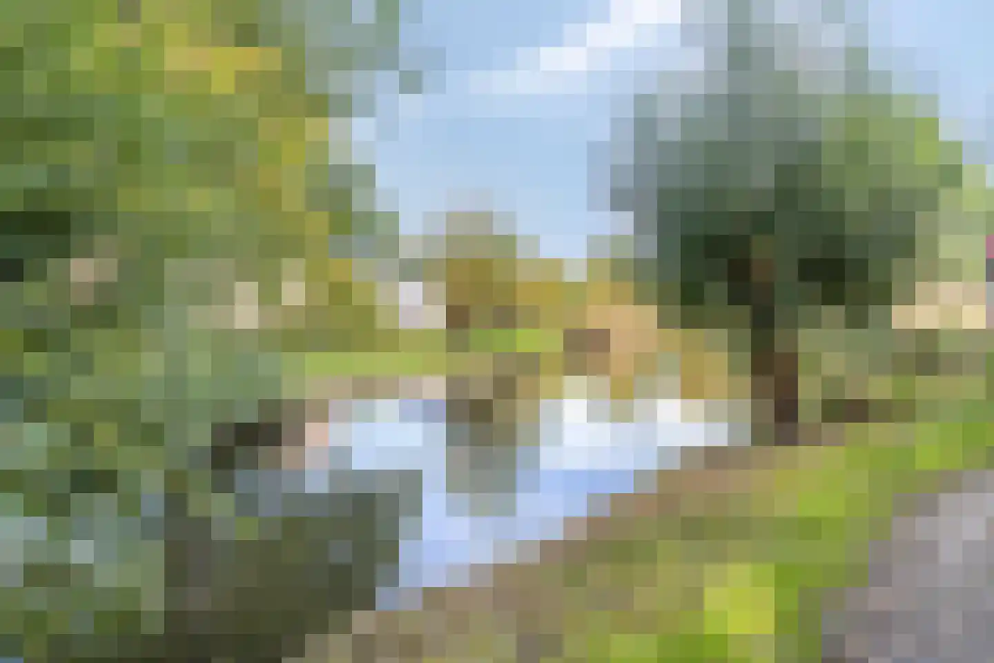 Langdonk 75 Breda thumbnail 30