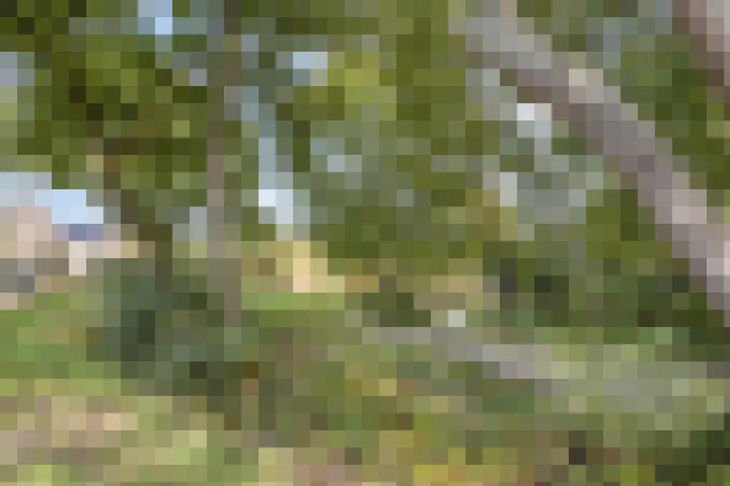 Langdonk 75 Breda thumbnail 35