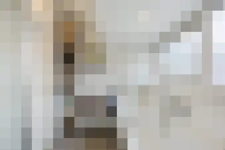 Langdonkenstraat 2 Eindhoven thumbnail 34