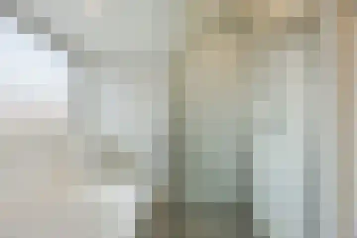 Langdonkenstraat 2 Eindhoven thumbnail 35