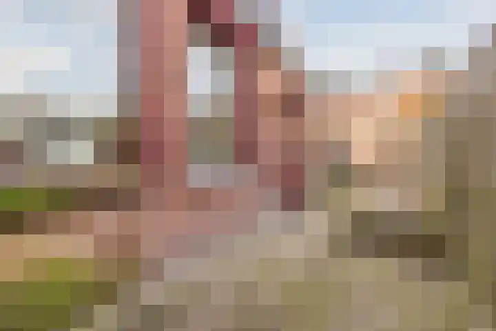 Langdonkenstraat 2 Eindhoven thumbnail 38