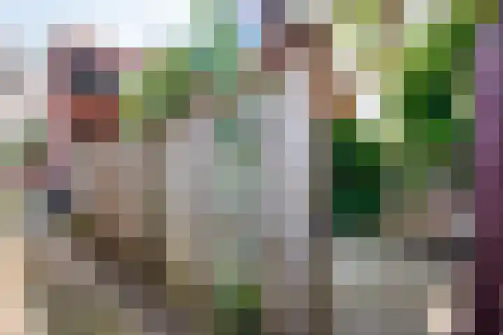 Langdonkenstraat 2 Eindhoven thumbnail 46