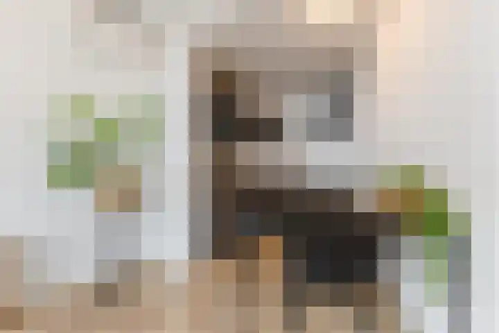 Langdonkenstraat 9 D Eindhoven thumbnail 7