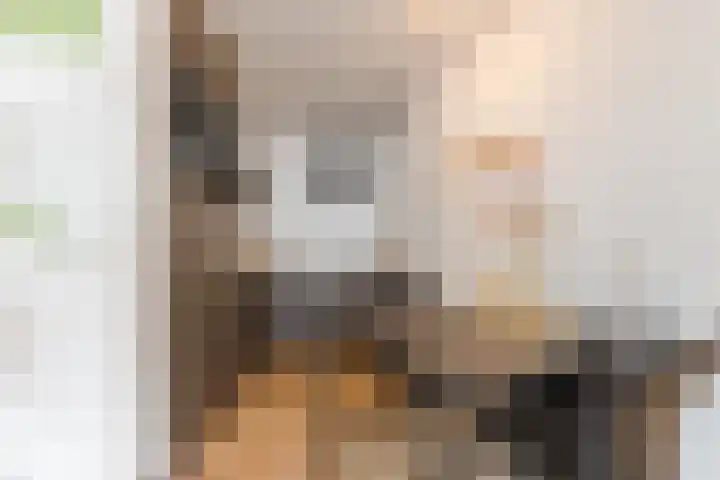Langdonkenstraat 9 D Eindhoven thumbnail 8