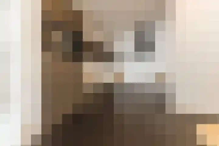 Langdonkenstraat 9 D Eindhoven thumbnail 9