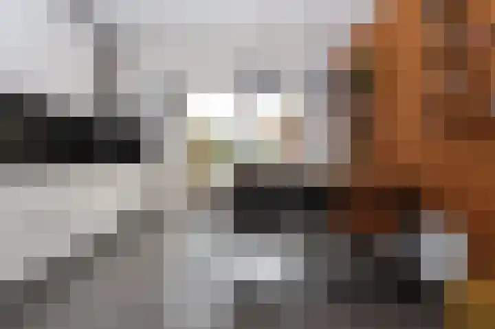 Lange Achte 28 Scharnegoutum thumbnail 12