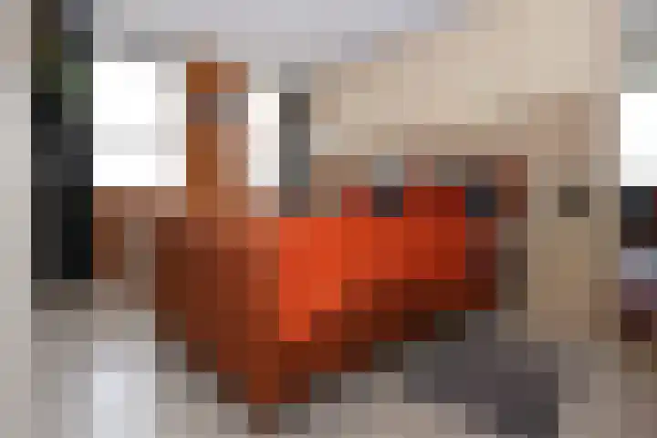 Lange Achte 28 Scharnegoutum thumbnail 13