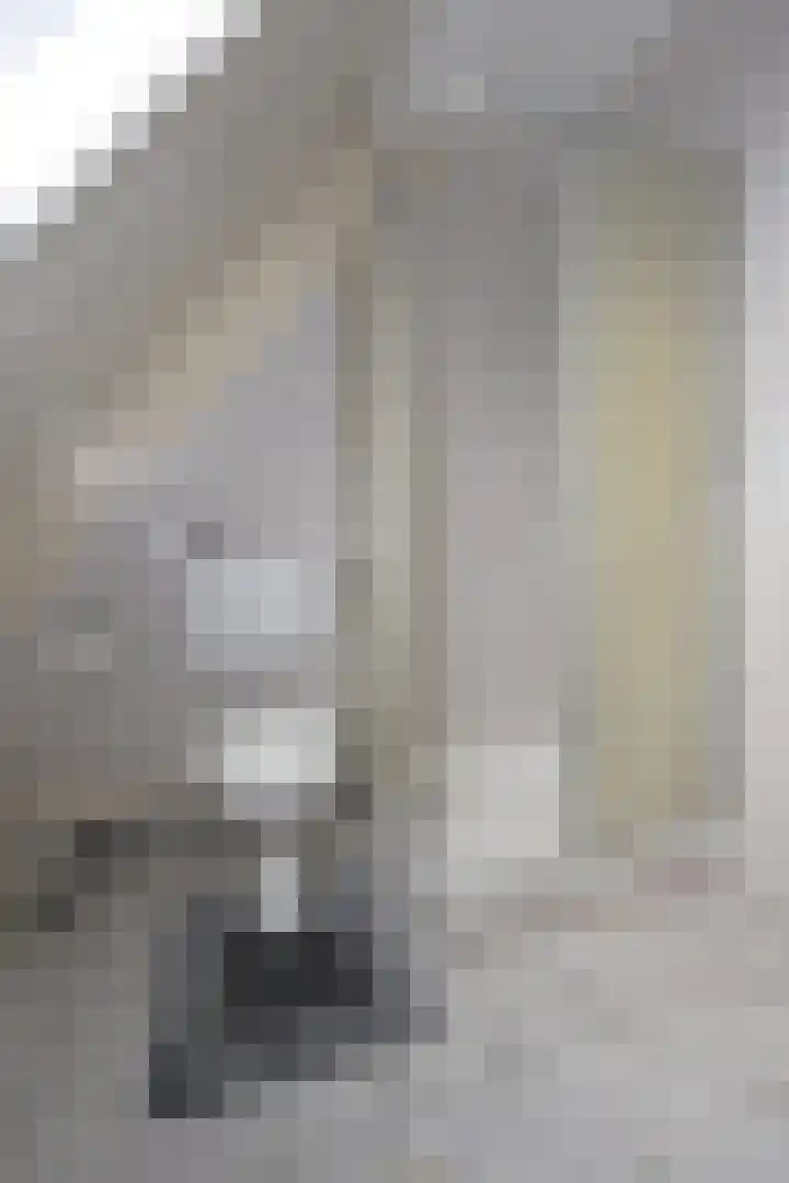 Lange Achte 28 Scharnegoutum thumbnail 18