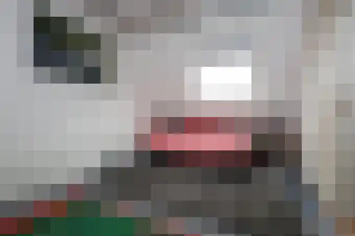 Lange Achte 28 Scharnegoutum thumbnail 20