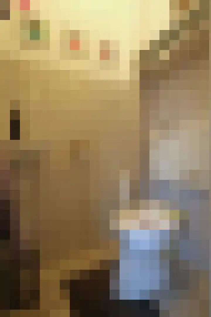 Lange Achte 28 Scharnegoutum thumbnail 22