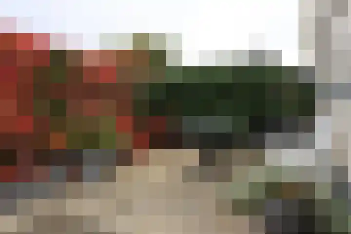 Lange Achte 28 Scharnegoutum thumbnail 29