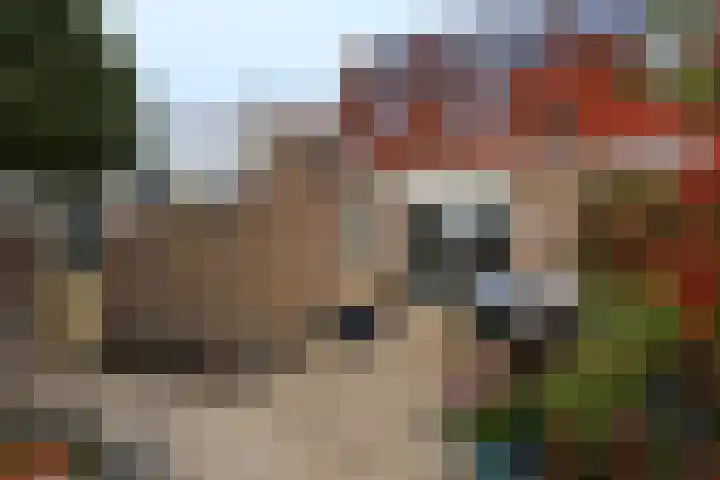 Lange Achte 28 Scharnegoutum foto 3