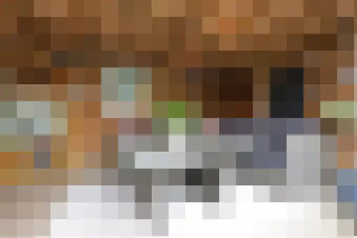 Lange Achte 28 Scharnegoutum thumbnail 31
