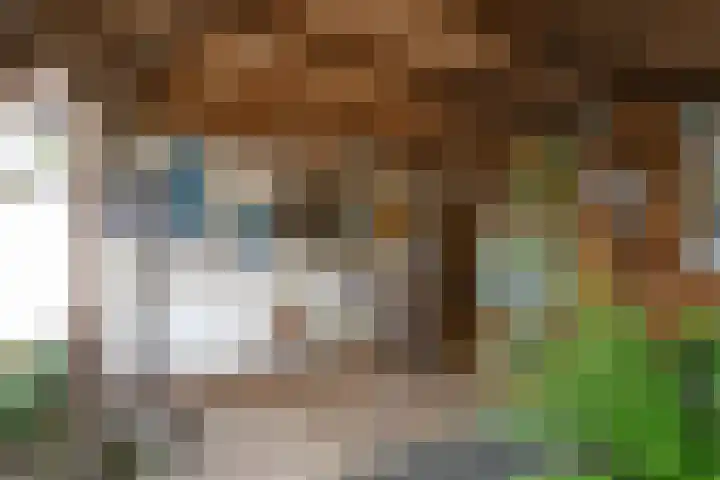 Lange Achte 28 Scharnegoutum thumbnail 32