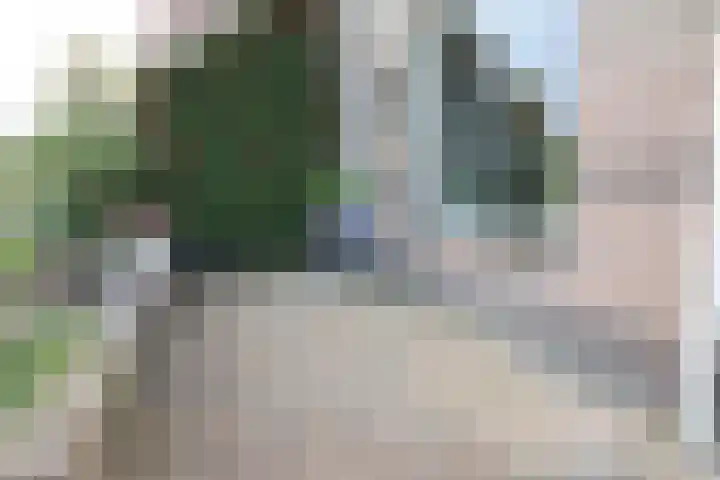 Lange Achte 28 Scharnegoutum thumbnail 33
