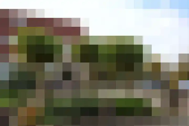 Lange Achte 28 Scharnegoutum thumbnail 34