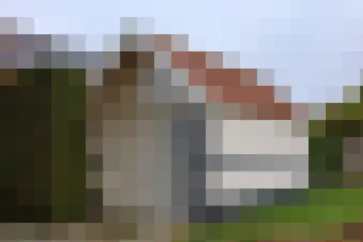 Lange Achte 28 Scharnegoutum thumbnail 5