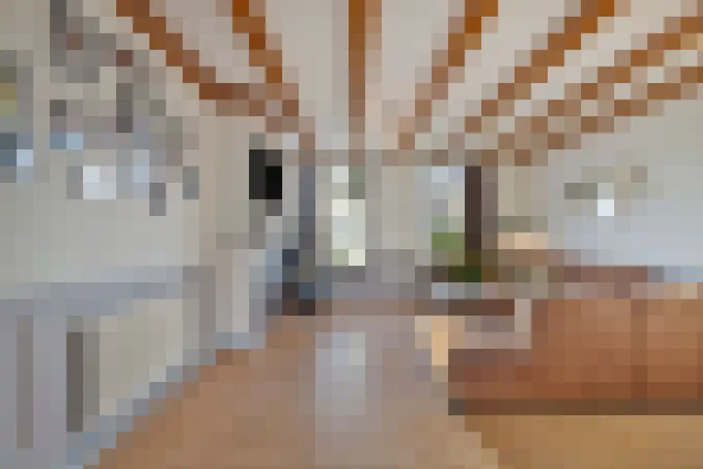 Lange Achterweg 23 's-Heer Arendskerke thumbnail 12