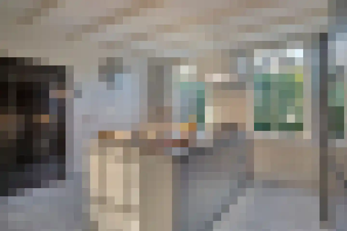 Lange Achterweg 23 's-Heer Arendskerke thumbnail 15
