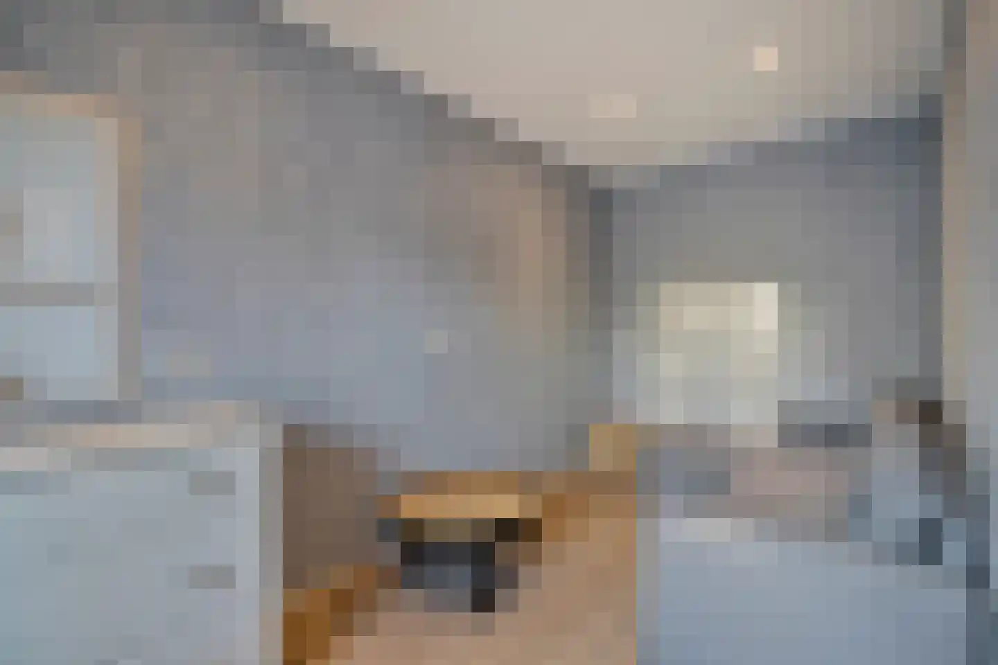 Lange Achterweg 23 's-Heer Arendskerke thumbnail 17
