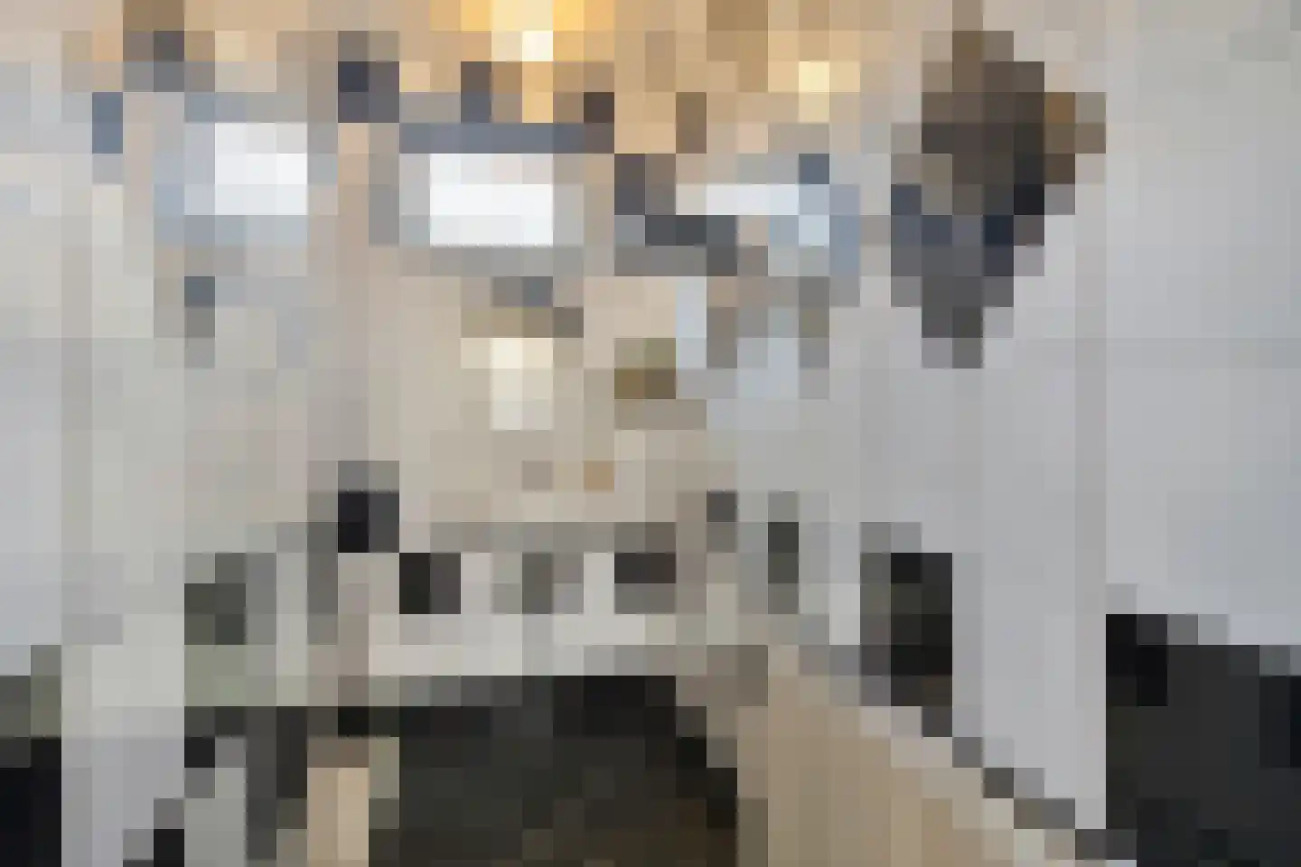 Lange Achterweg 23 's-Heer Arendskerke thumbnail 18