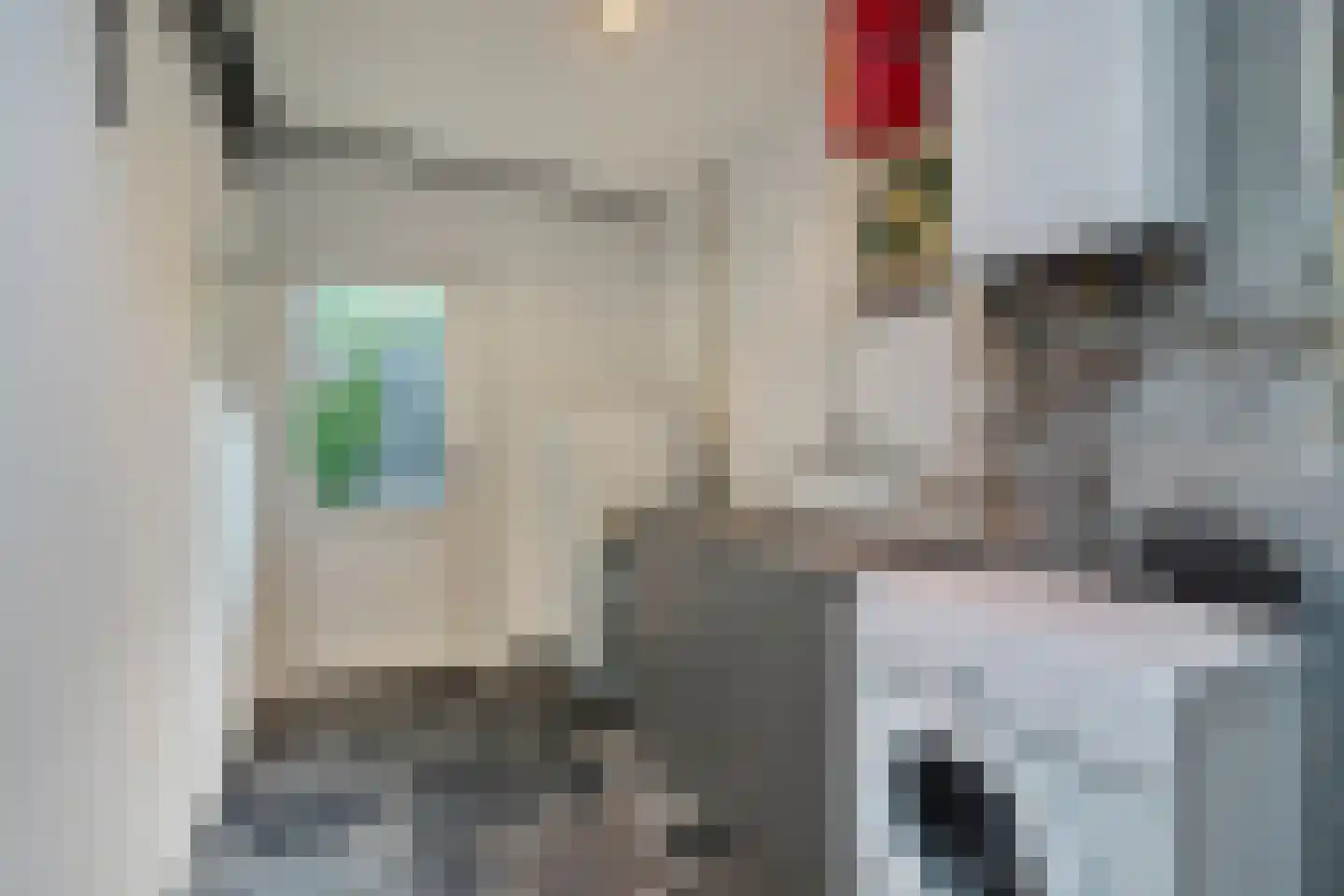 Lange Achterweg 23 's-Heer Arendskerke thumbnail 19