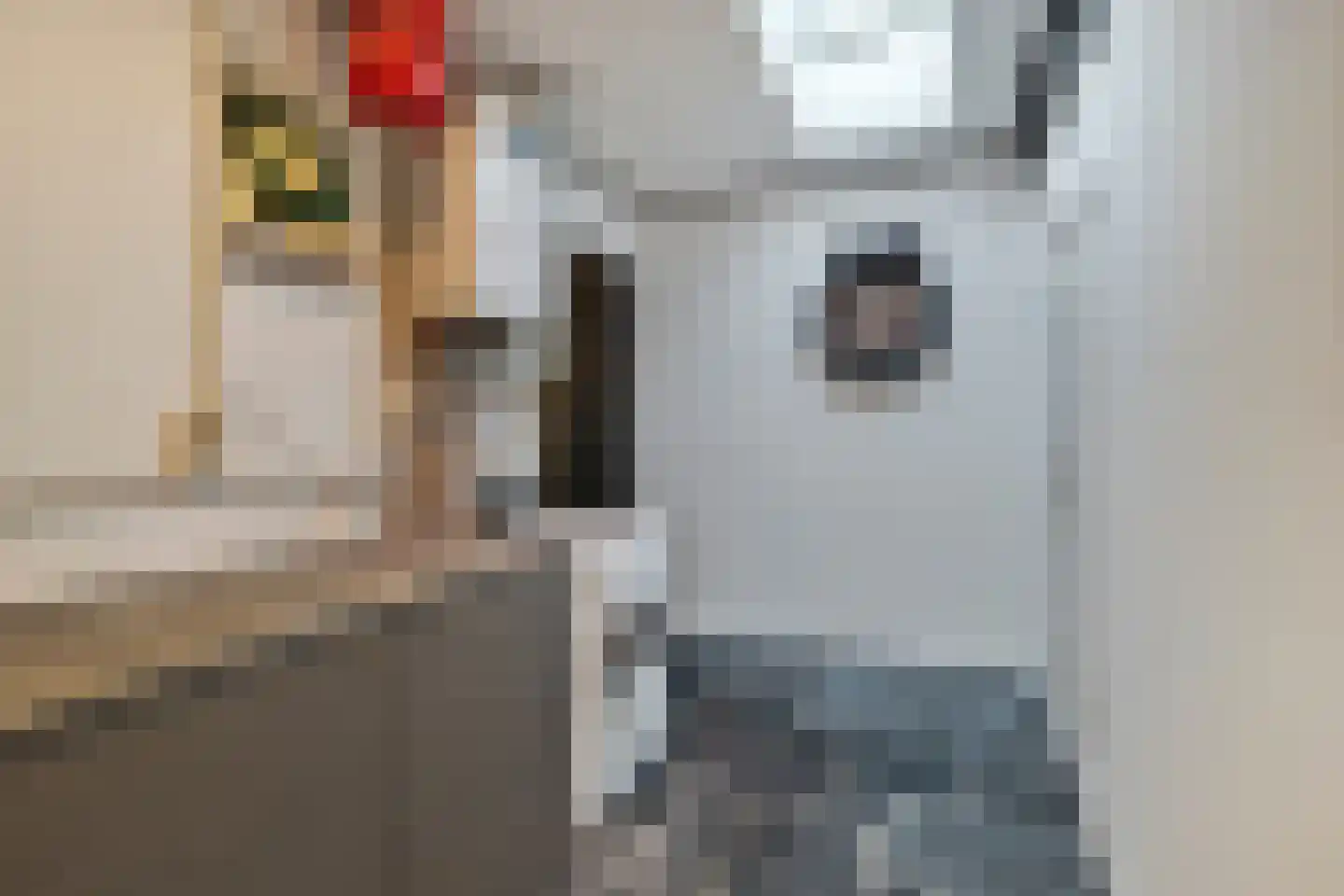 Lange Achterweg 23 's-Heer Arendskerke thumbnail 20