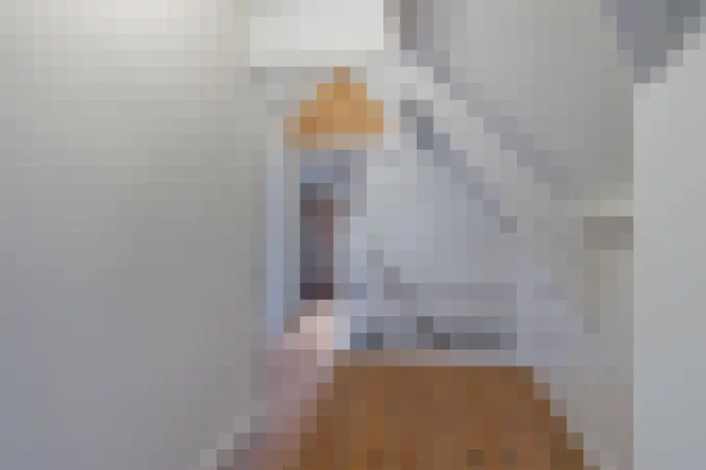 Lange Achterweg 23 's-Heer Arendskerke thumbnail 21