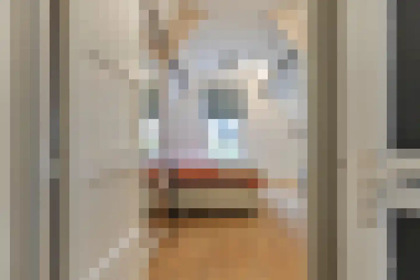 Lange Achterweg 23 's-Heer Arendskerke thumbnail 22